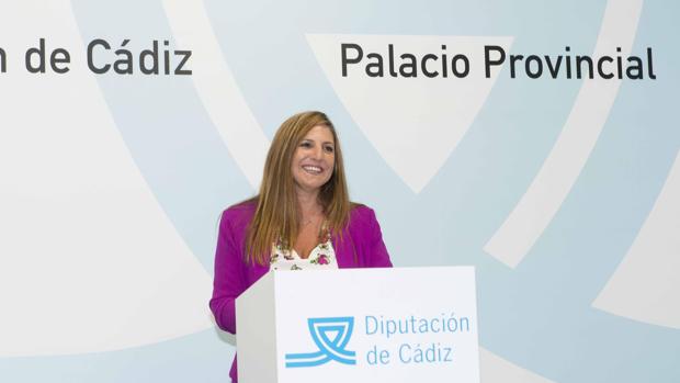 La Diputación se marca como objetivo del curso político paliar los efectos del Covid con medidas sociales