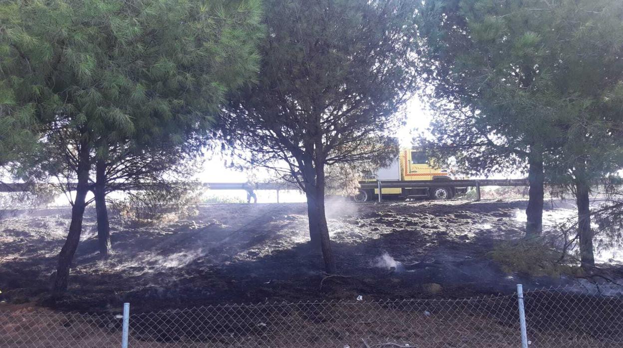 Intervención del incendio en la Urbanización El Juncal