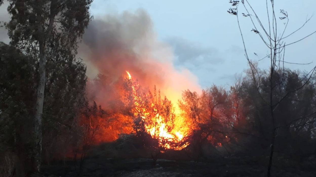 Incendio en un paraje de Sanlúcar la Mayor