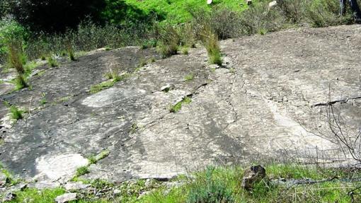 Huellas fósiles de medusas (Constantina)