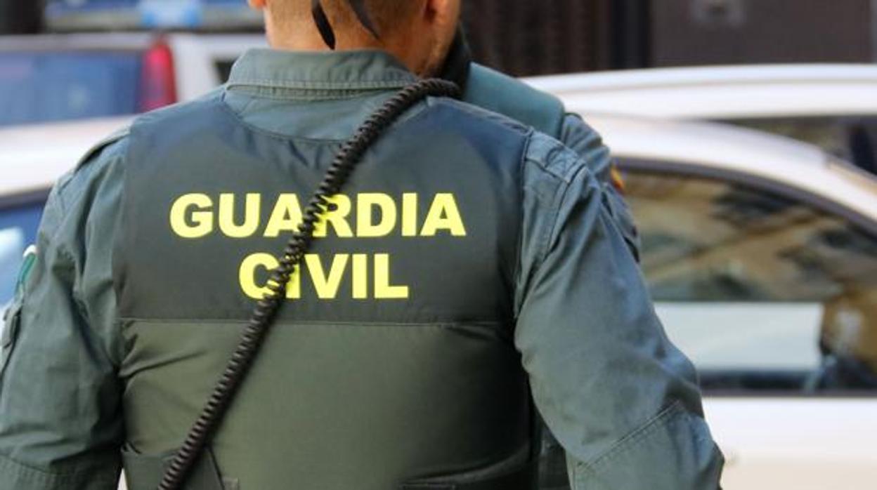 Los agentes acudieron al aviso tras saltar el dispositivo de vigilancia de la víctima