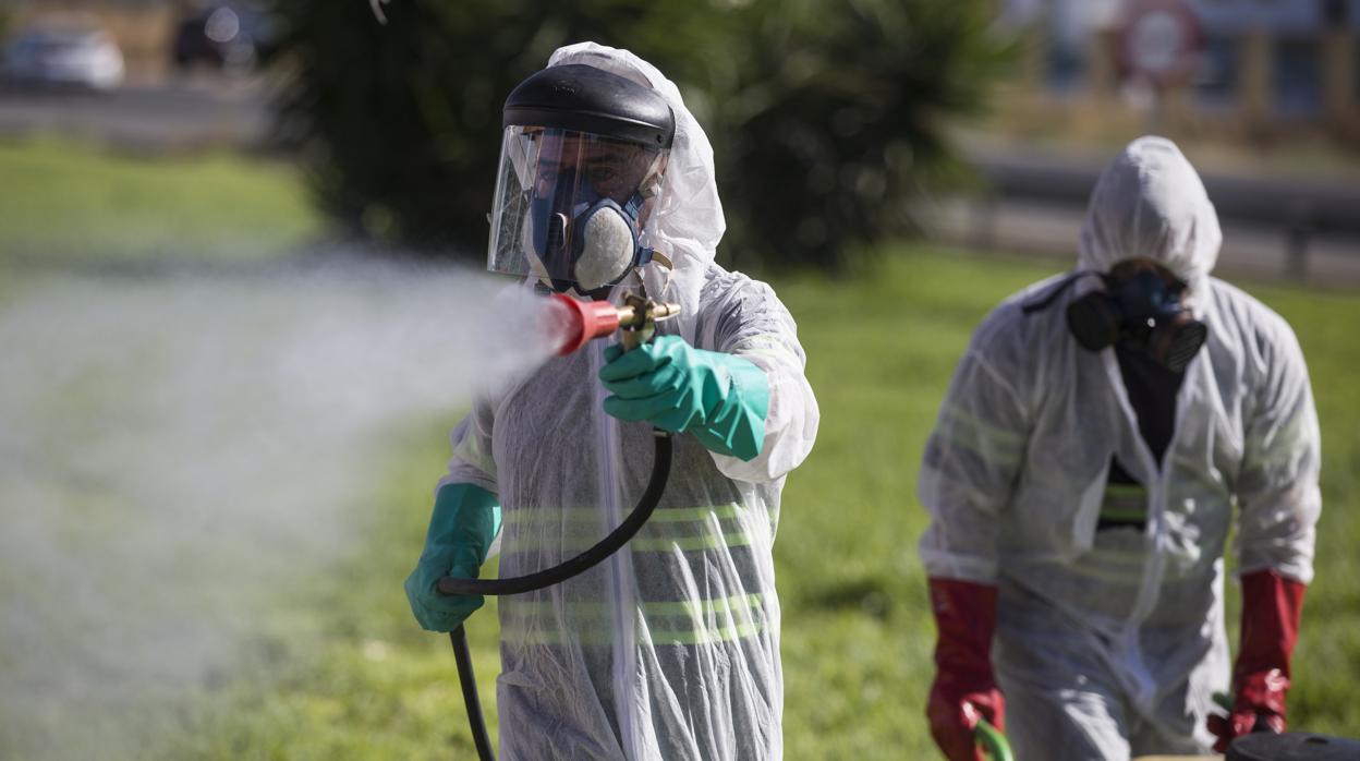 Dos trabajadores durante las labores de fumigación contra los mosquitos causantes del virus del Nilo en Coria del Río