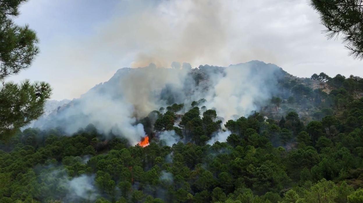 Incendio en el Puerto del Boyar de la Sierra de Grazalema