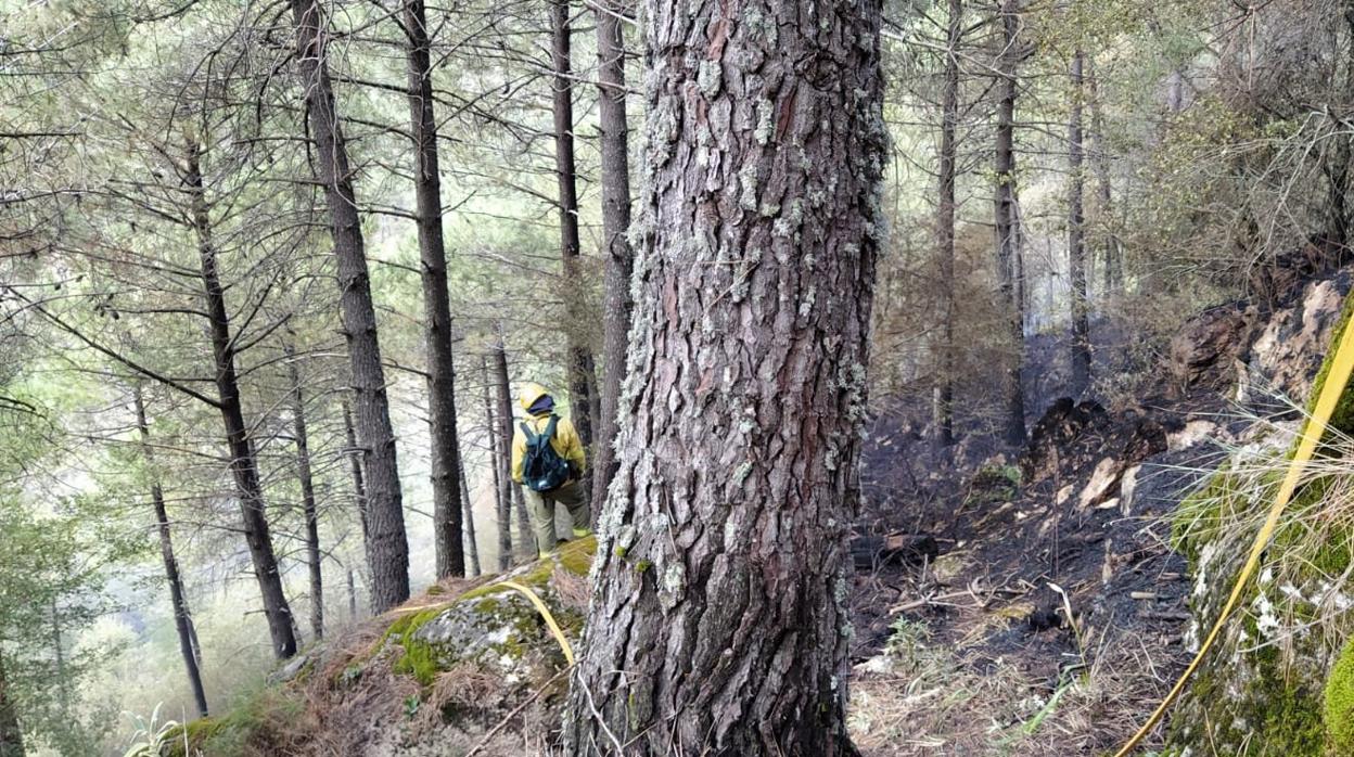 Controlado el incendio del Puerto del Boyar de la Sierra de Grazalema