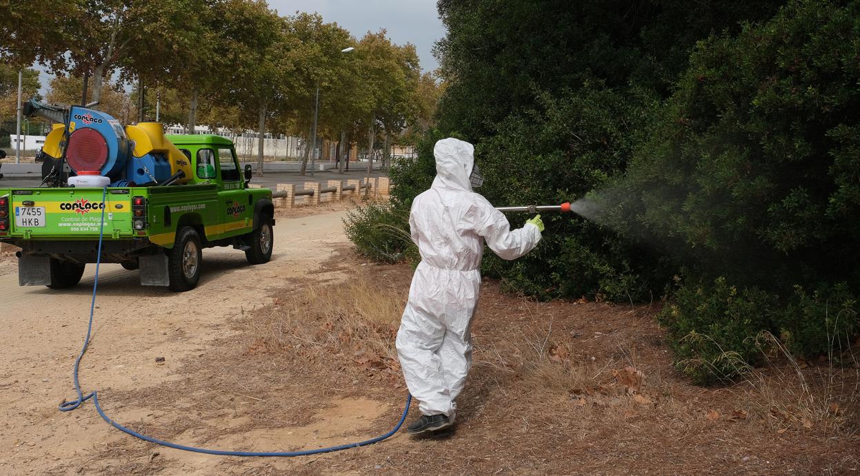 Fumigación para evitar el contagio del virus del Nilo en Puerto Real.