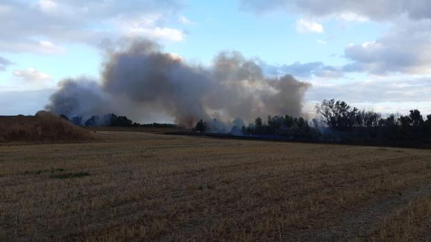 Controlado el incendio declarado en un paraje natural de Sanlúcar la Mayor