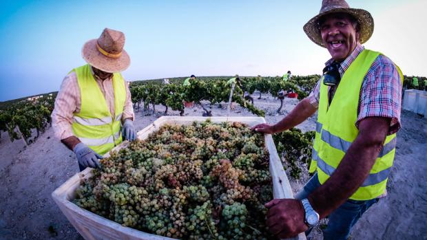 González Byass, elegida la 'mejor familia de vino' del mundo