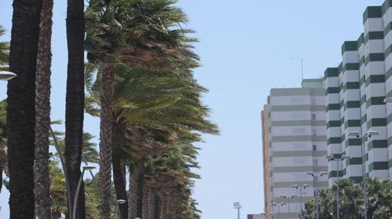 El tiempo en Cádiz: Alerta amarilla por fenómenos costeros