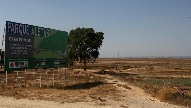 Sueldos galácticos en Las Aletas