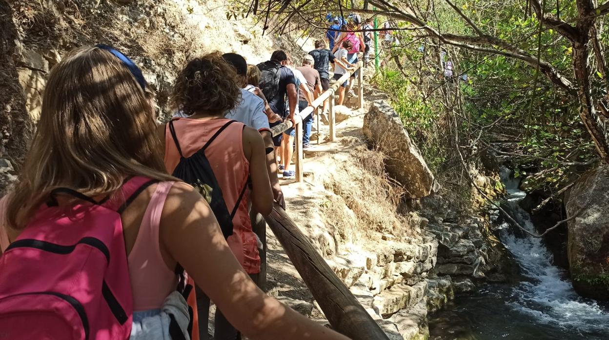 «El sendero del Majaceite se ha convertido en una procesión con atascos y miles de paseantes»