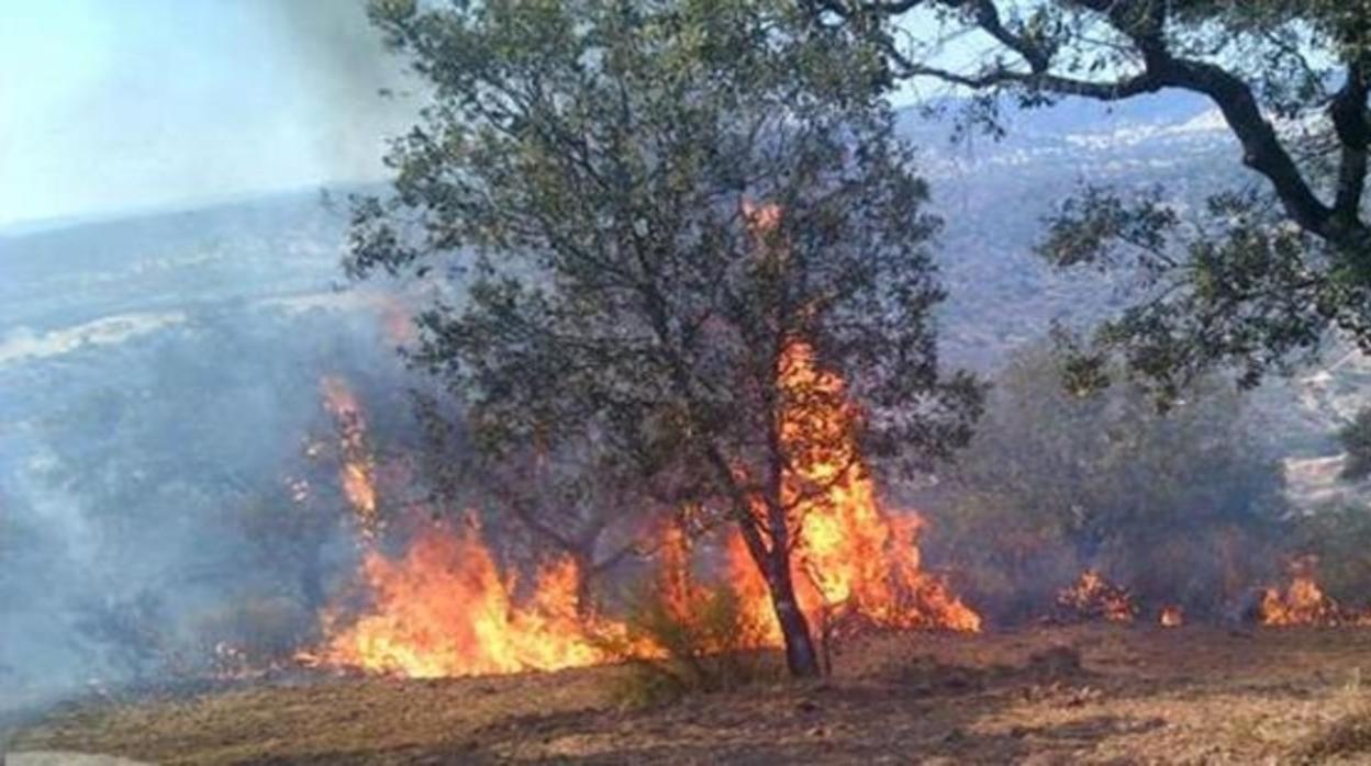 Imagen de archivo de un incendio forestal en la provincia de Sevilla