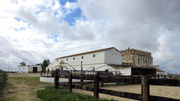 Una torre con una apasionante historia que da nombre al pueblo más joven de la provincia de Sevilla