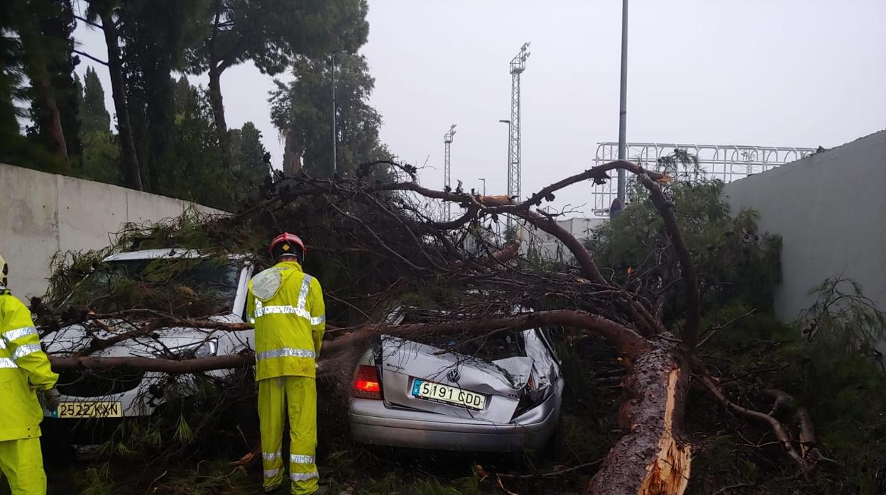 El suceso ha afectado principalmente a uno de los dos vehículos que circulaba por la calzada