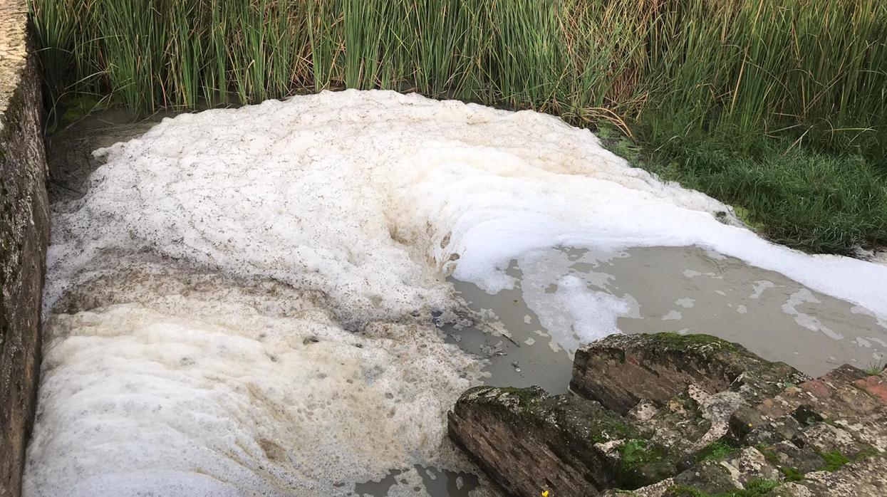 Espuma sobre el río Guadaira en Alcalá, este pasado viernes