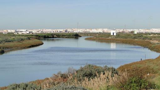 Imagen del sendero de Chiclana.