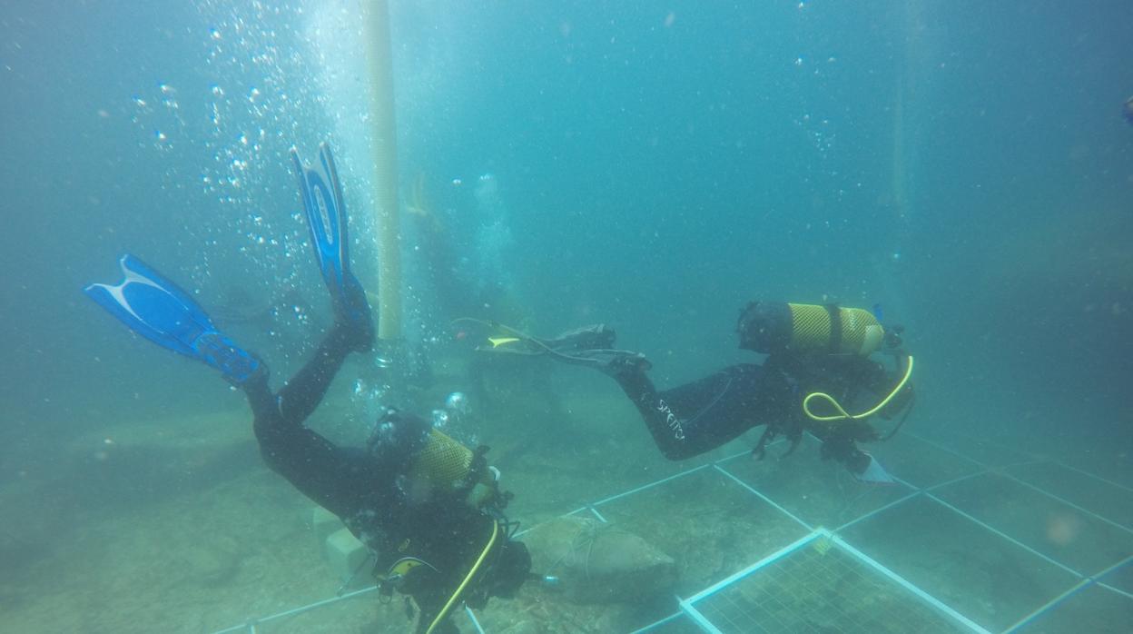 Proyectan un museo submarino en el Parque Natural del Estrecho