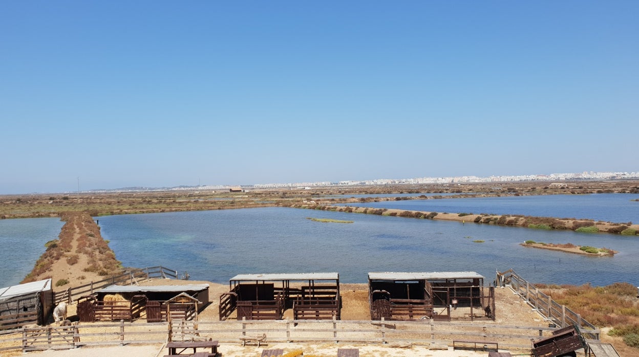 Vista del Parque Natural desde las Salinas de Chiclana