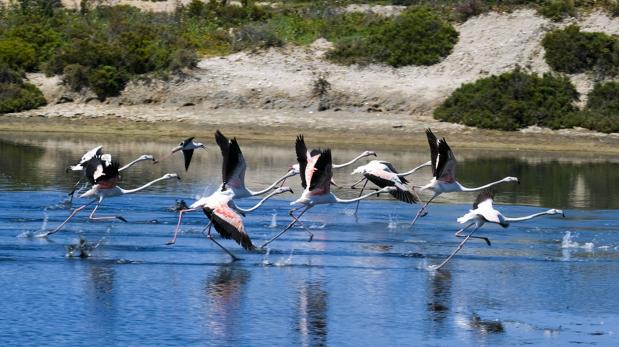 El coronavirus 'limpia' el aire en la Bahía de Cádiz