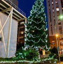 El hospital Puerta del Mar de Cádiz alimenta su Navidad