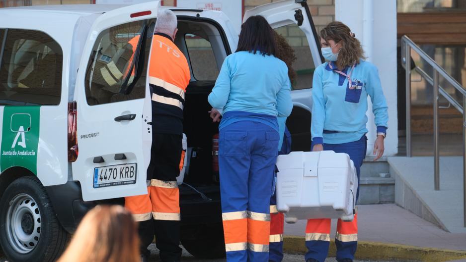 Vídeo: Las primeras vacunas llegan a la provincia de Cádiz