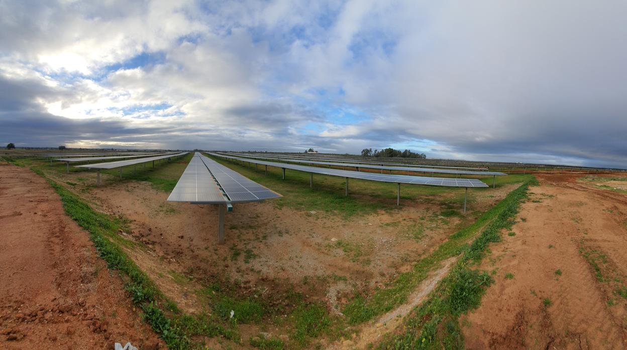 Paneles fotovoltaicos en las nuevas instalaciones