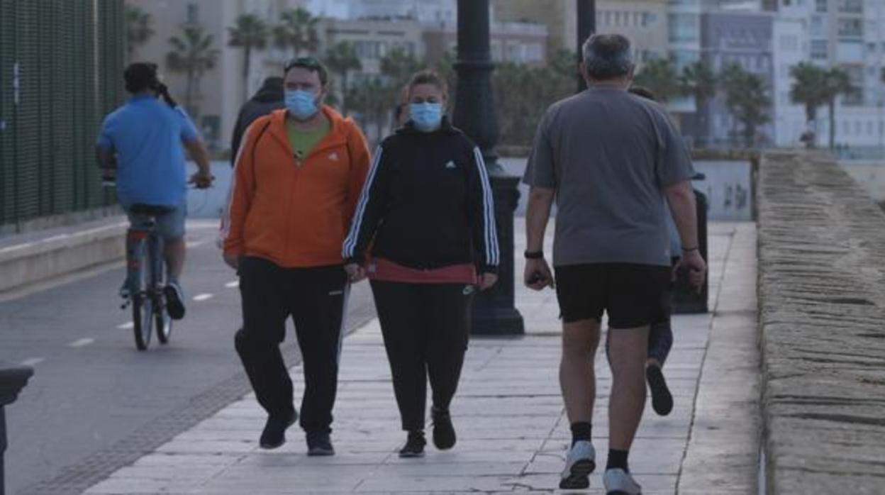 Coronavirus Cádiz: Salud constata cuatro casos de la cepa británica en la provincia de Cádiz