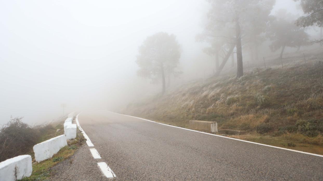 Niebla en la Sierra de Cádiz, esta mañana.