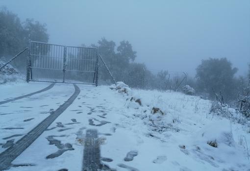 El temporal Filomena lleva la nieve a la Sierra Norte de Sevilla