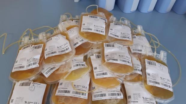 La provincia registra 132 donaciones de plasma hiperinmune para combatir el Covid-19