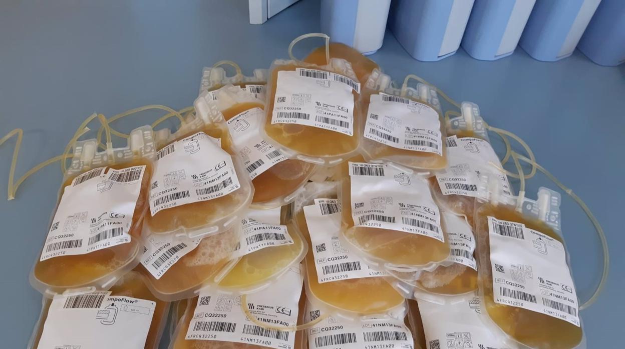 La provincia registra 132 donaciones de plasma hiperinmune para combatir el Covid-19