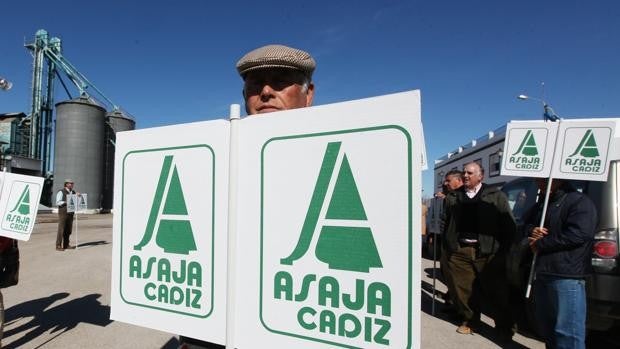 Críticas de Asaja-Cádiz por la forma de aprobar el decreto de la PAC