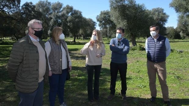 «La PAC impuesta por el ministro Planas empobrece al campo gaditano»