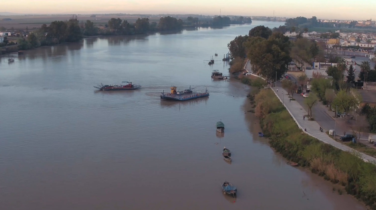 Las barcazas que cruzan el río Guadalquivir entre las dos orillas de Coria del Río