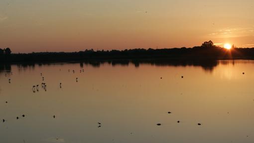 Atardecer en una de las marismas del reserva de la biosfera.