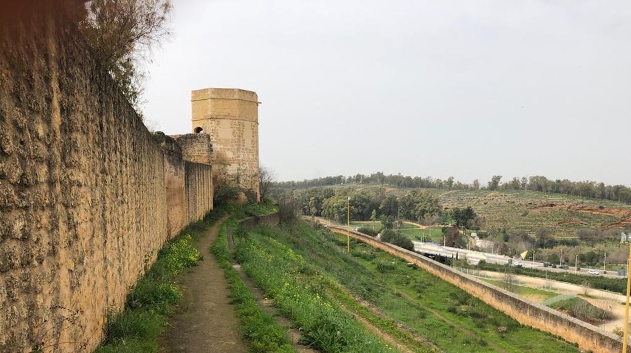 La ladera norte del castillo de Alcalá de Guadaíra