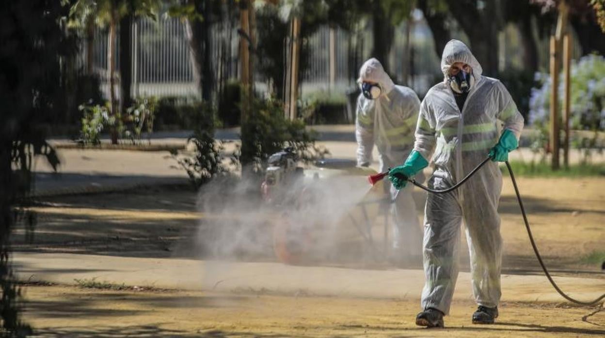 Técnicos fumigando el año pasado en Coria del Río para eliminar la plaga del mosquito del Nilo