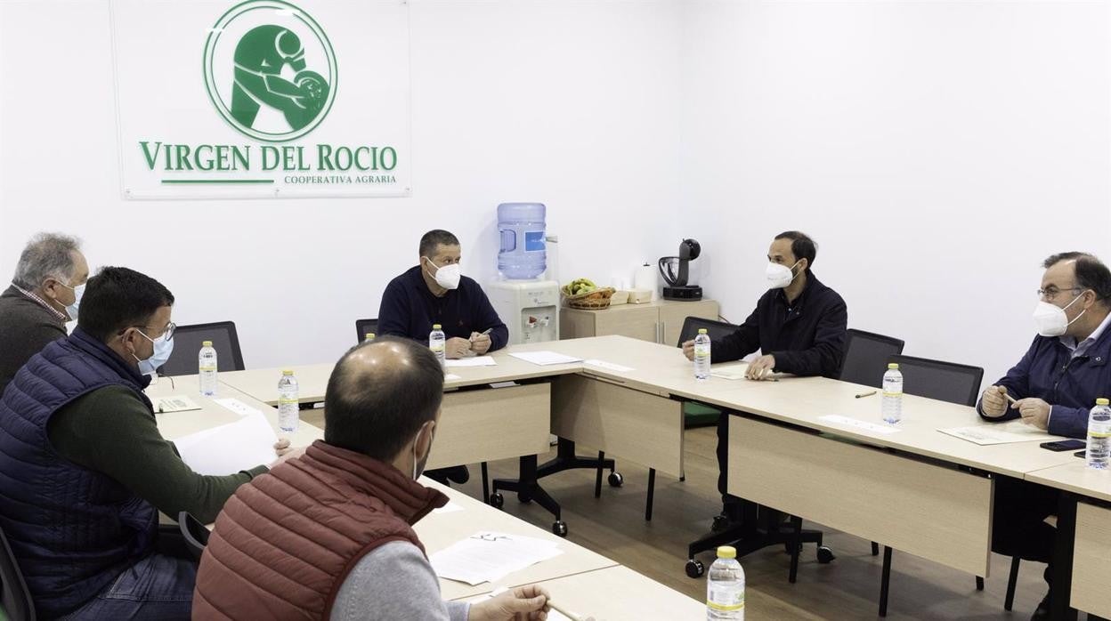 El alcalde de Sanlúcar reunido con cooperativas agrícolas para el registro de la marca 'Patatas de Sanlúcar'.