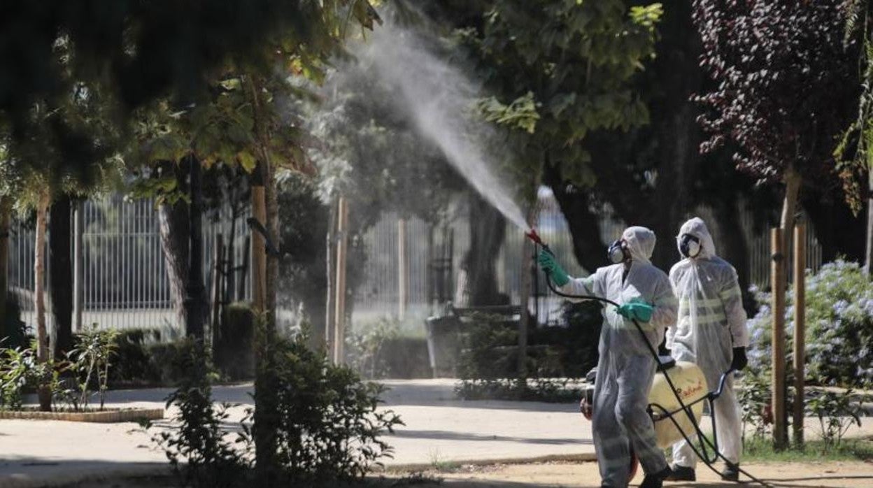 Dos operarios realizan labores de desinfección este pasado mes de agosto en Coria del Río