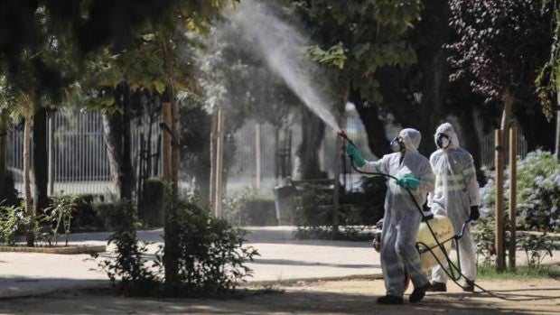 La Junta de Andalucía se vuelve a reunir con los alcaldes de Coria, La Puebla e Isla Mayor por la Fiebre del Nilo