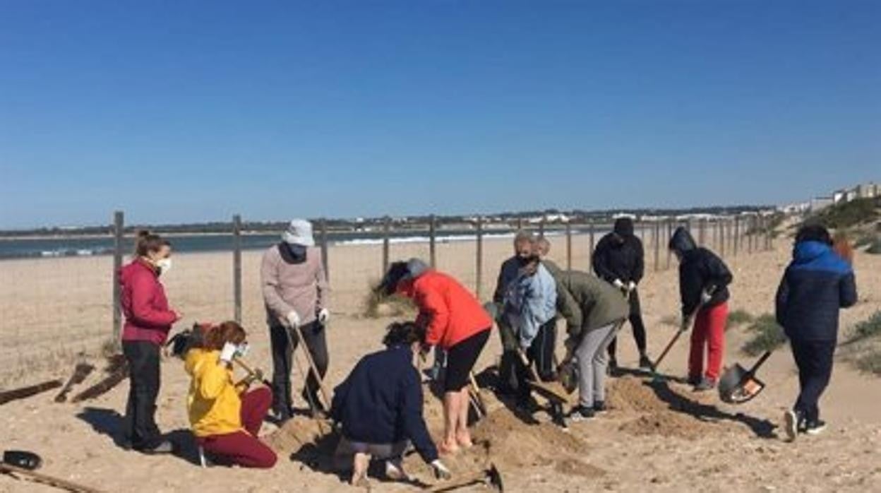 El voluntariado de la playa de Levante en El Puerto finaliza tras retirar 1.890 kilos de basura