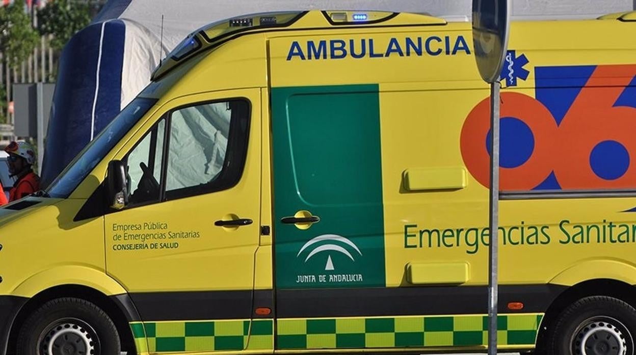 Herida una mujer tras caerle un árbol encima en una plaza de Jerez