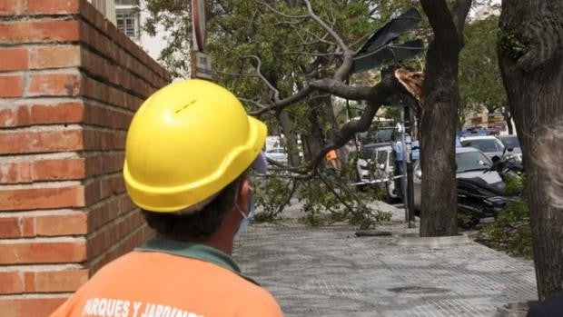 El temporal de Levante deja más de 70 incidencias en menos de 12 horas