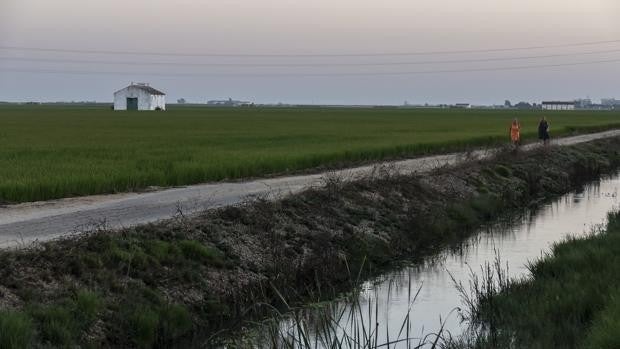 La Audiencia da la razón a la Fundación Queipo de Llano en un litigio por una finca en La Puebla del Río