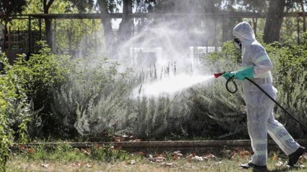 Coria del Río diseña su plan municipal contra el virus del Nilo y critica los «retrasos» de la Junta