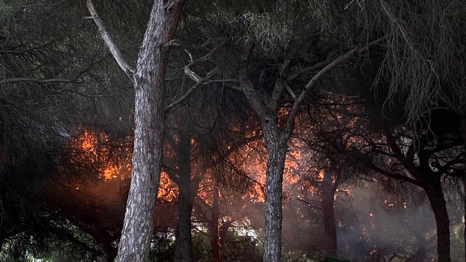 Fuego en el pinar del Río San Pedro por las protestas de Airbus Puerto Real