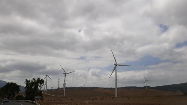 Aviso amarillo este miércoles 14 de abril por oleaje en Cádiz y viento de levante en el Estrecho