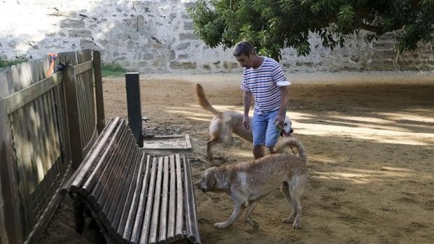 Ciudadanos pide una apuesta real para que Cádiz sea una «ciudad amiga» de los animales