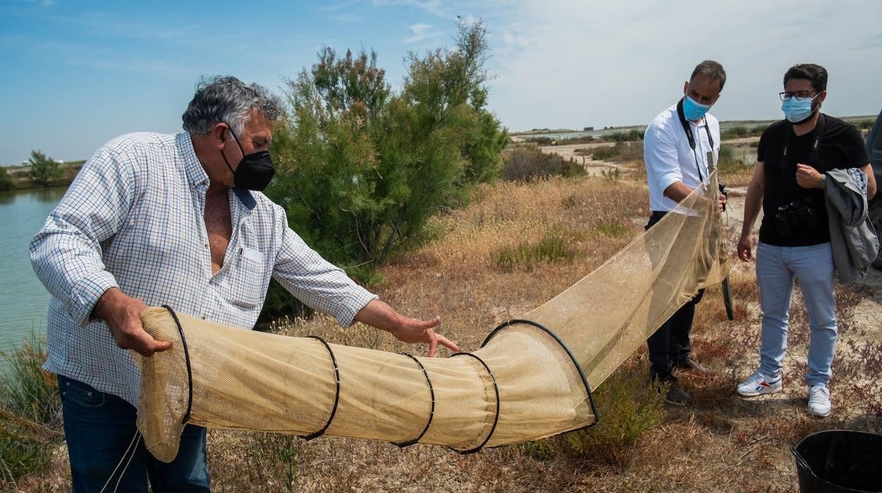 Trebujena aplaude la creación de una empresa que ofrece rutas guiadas por los esteros del Guadalquivir