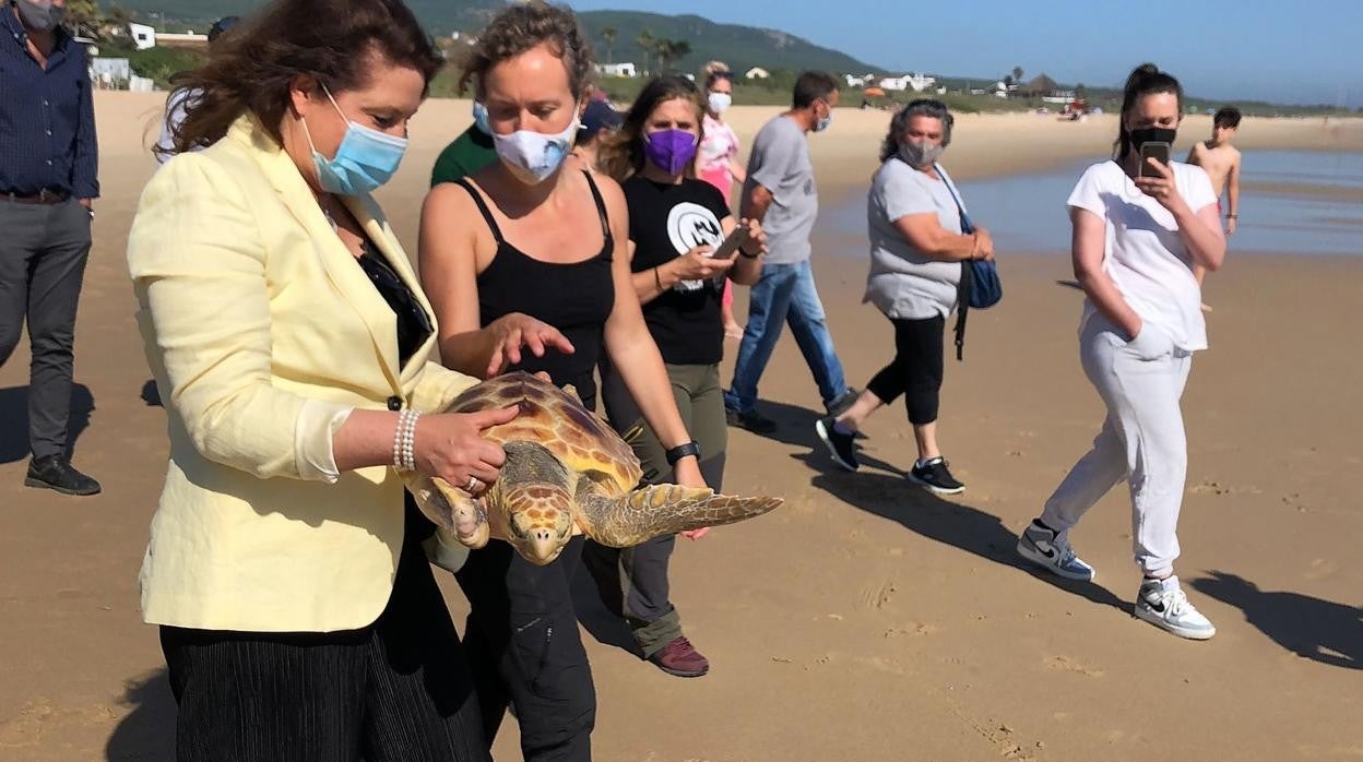 La consejera, en el momento de liberar la tortuga boba