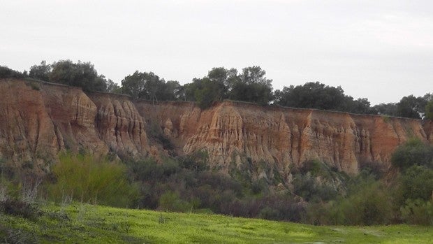 Localizan en una zona de difícil acceso e inconsciente a una mujer desaparecida en Coria del Río